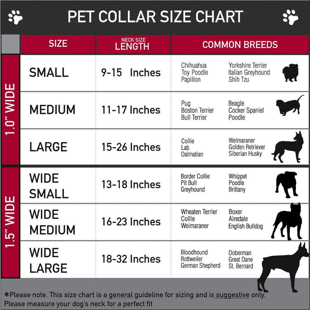 Star Wars The Child Collar - Rocky & Maggie's Pet Boutique and Salon