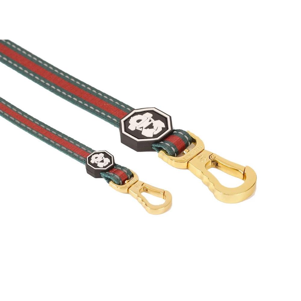 The G-Stripe | Leash - Rocky & Maggie's Pet Boutique and Salon