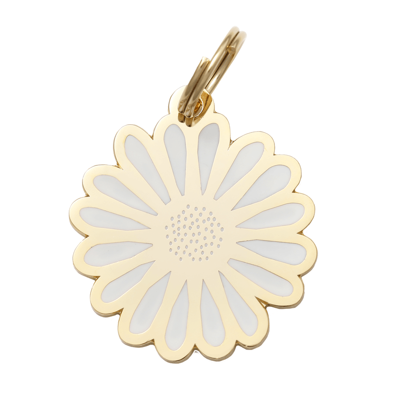 Daisy Pet ID Tag - Rocky & Maggie's Pet Boutique and Salon