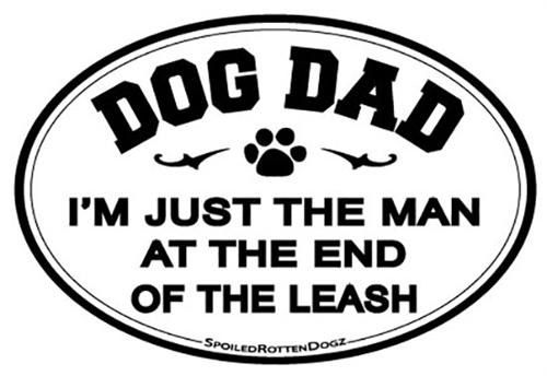 Car Magnets - Rocky & Maggie's Pet Boutique and Salon