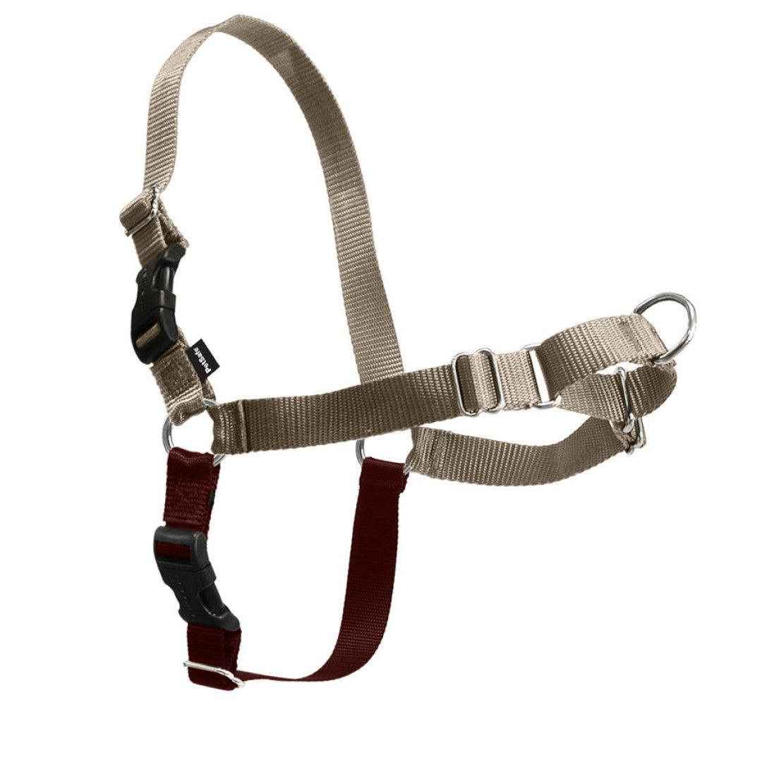 Easy Walk Harness - Rocky & Maggie's Pet Boutique and Salon