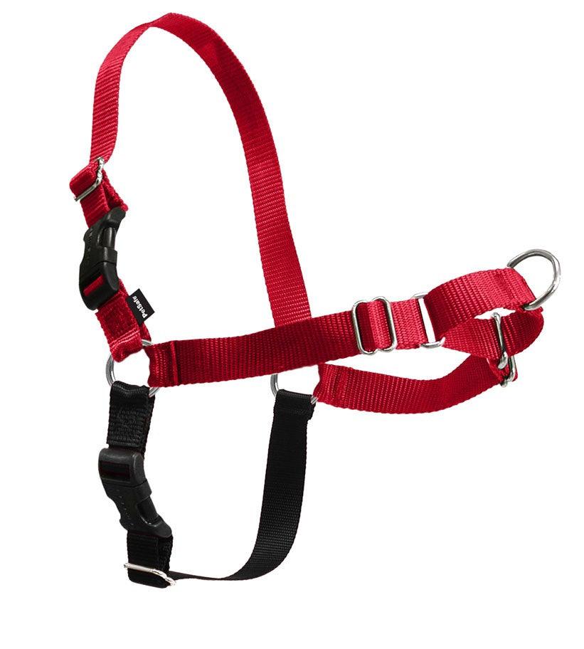 Easy Walk Harness - Rocky & Maggie's Pet Boutique and Salon