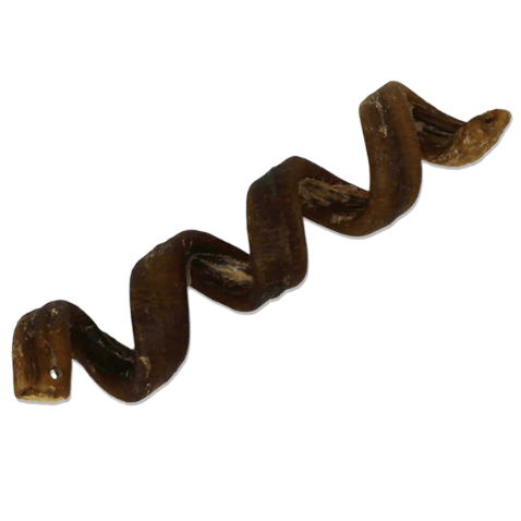 Water Buffalo Bully Spiral, 6-7" - Rocky & Maggie's Pet Boutique and Salon