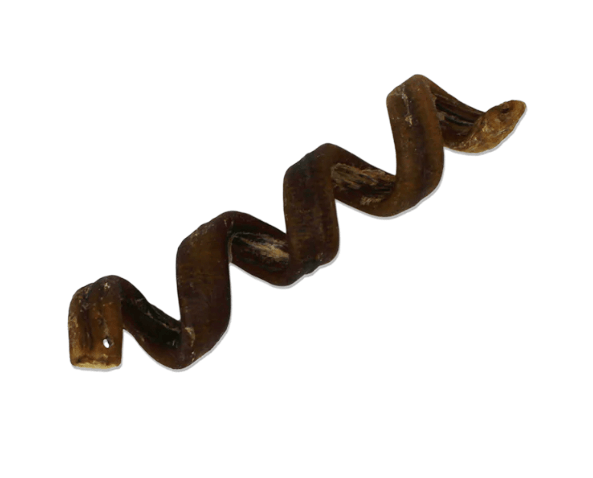 Water Buffalo Bully Spiral, 6-7" - Rocky & Maggie's Pet Boutique and Salon