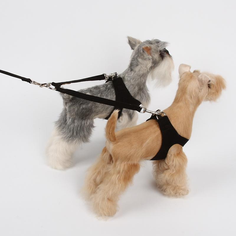 Coupler - Rocky & Maggie's Pet Boutique and Salon