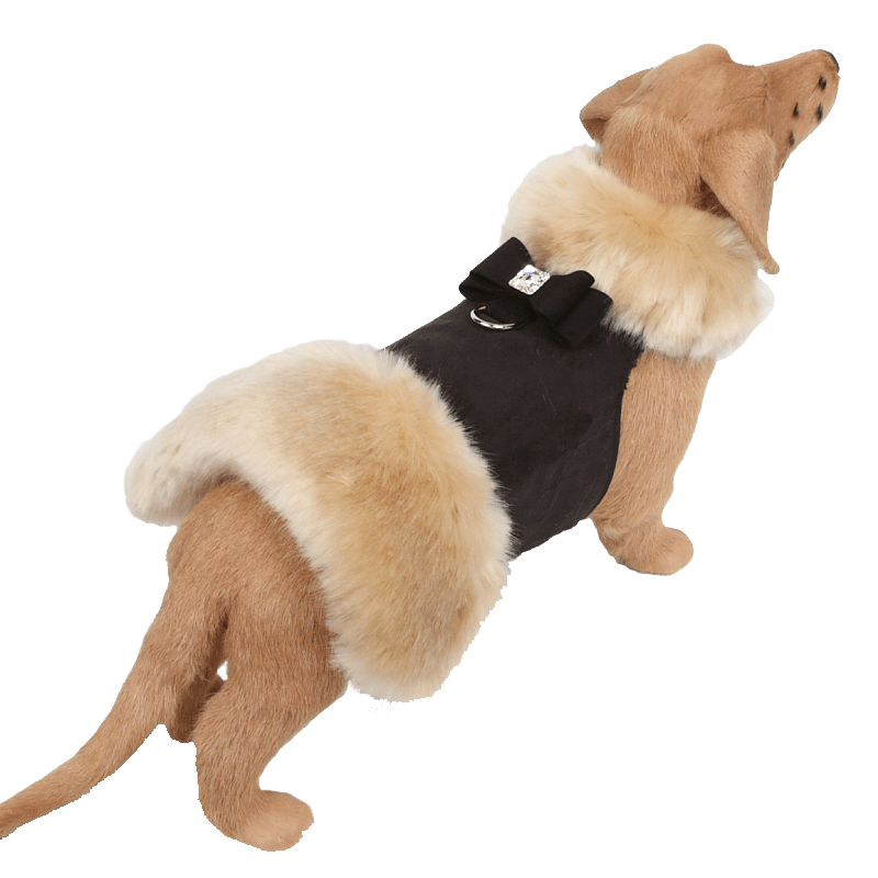 Champagne Fox Fur Coat with Big Bow - Rocky & Maggie's Pet Boutique and Salon