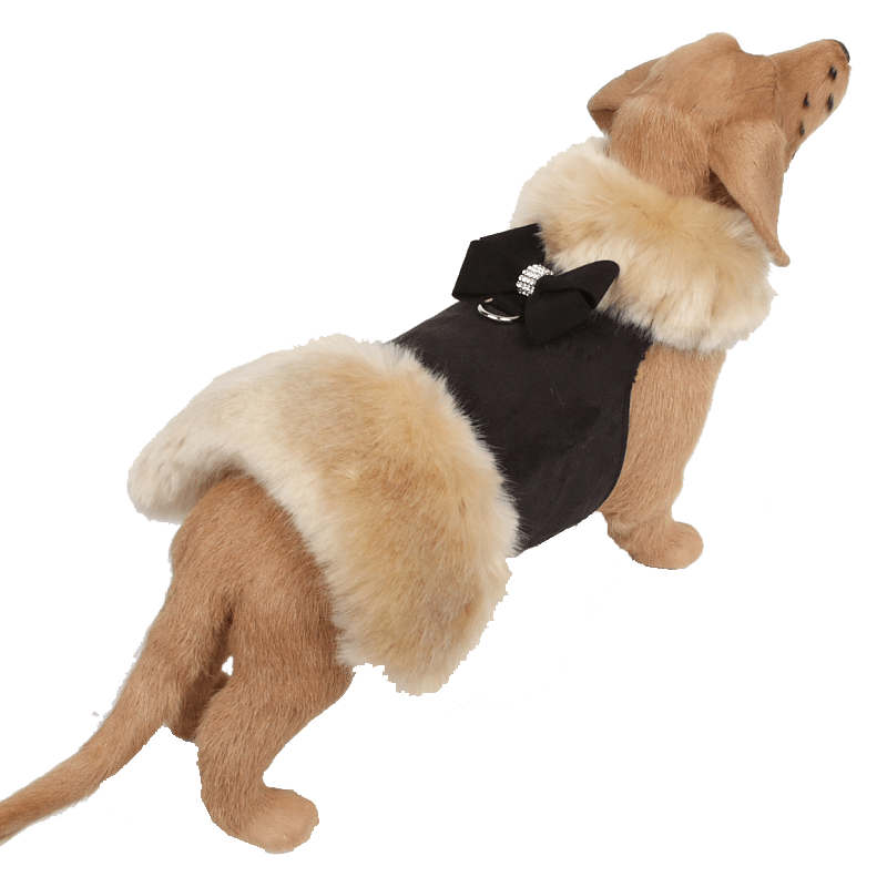 Champagne Fox Fur Coat with Nouveau Bow - Rocky & Maggie's Pet Boutique and Salon