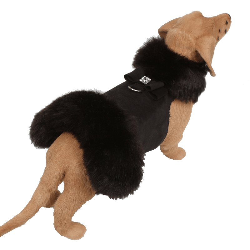 Black Fox Fur Coat with Big Bow - Rocky & Maggie's Pet Boutique and Salon