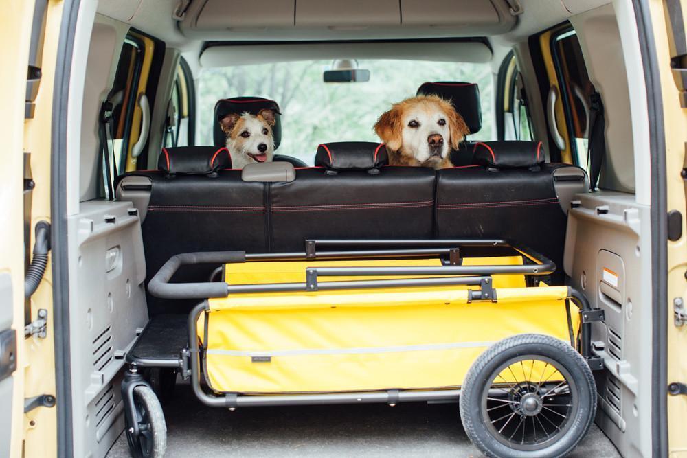 Carriage Pet Cart - Rocky & Maggie's Pet Boutique and Salon