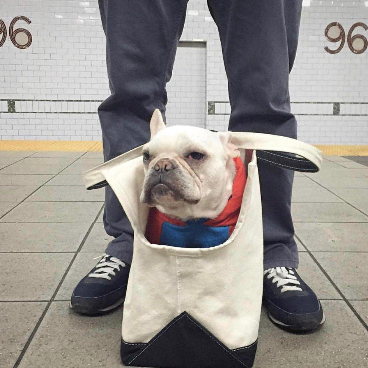 Boat Canvas Carrier - Classic - Rocky & Maggie's Pet Boutique and Salon