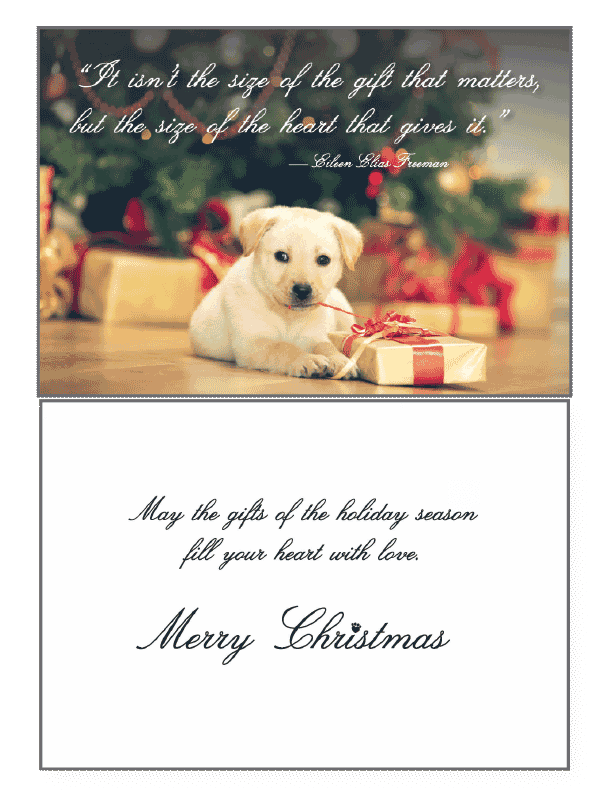 It Isnt The Size Greeting Card - Rocky & Maggie's Pet Boutique and Salon