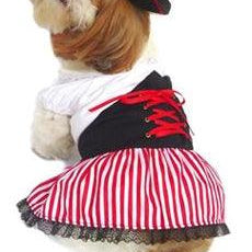 Lady Pirate Costume - Rocky & Maggie's Pet Boutique and Salon