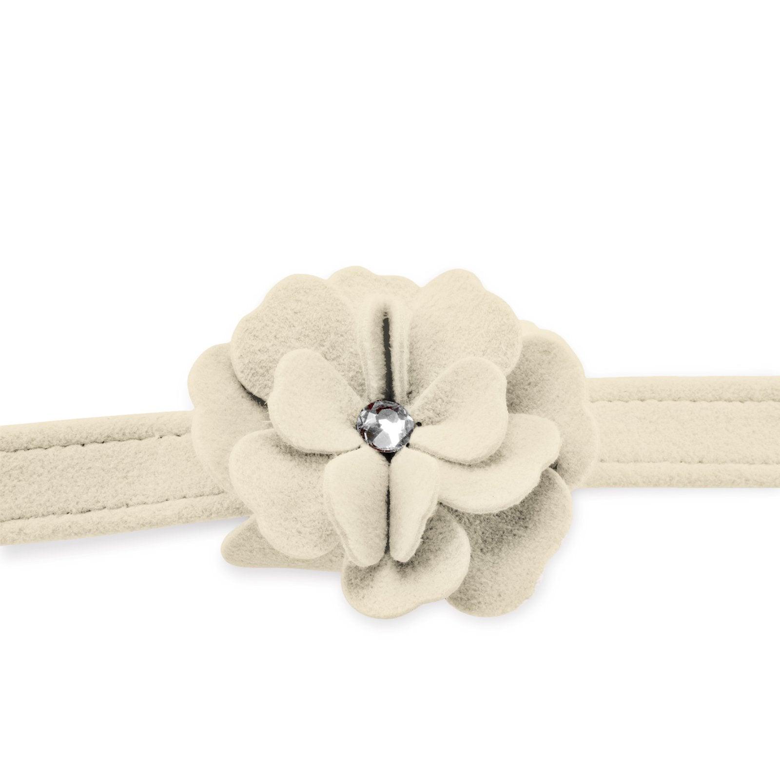 Tinkie's Garden Leash - Rocky & Maggie's Pet Boutique and Salon