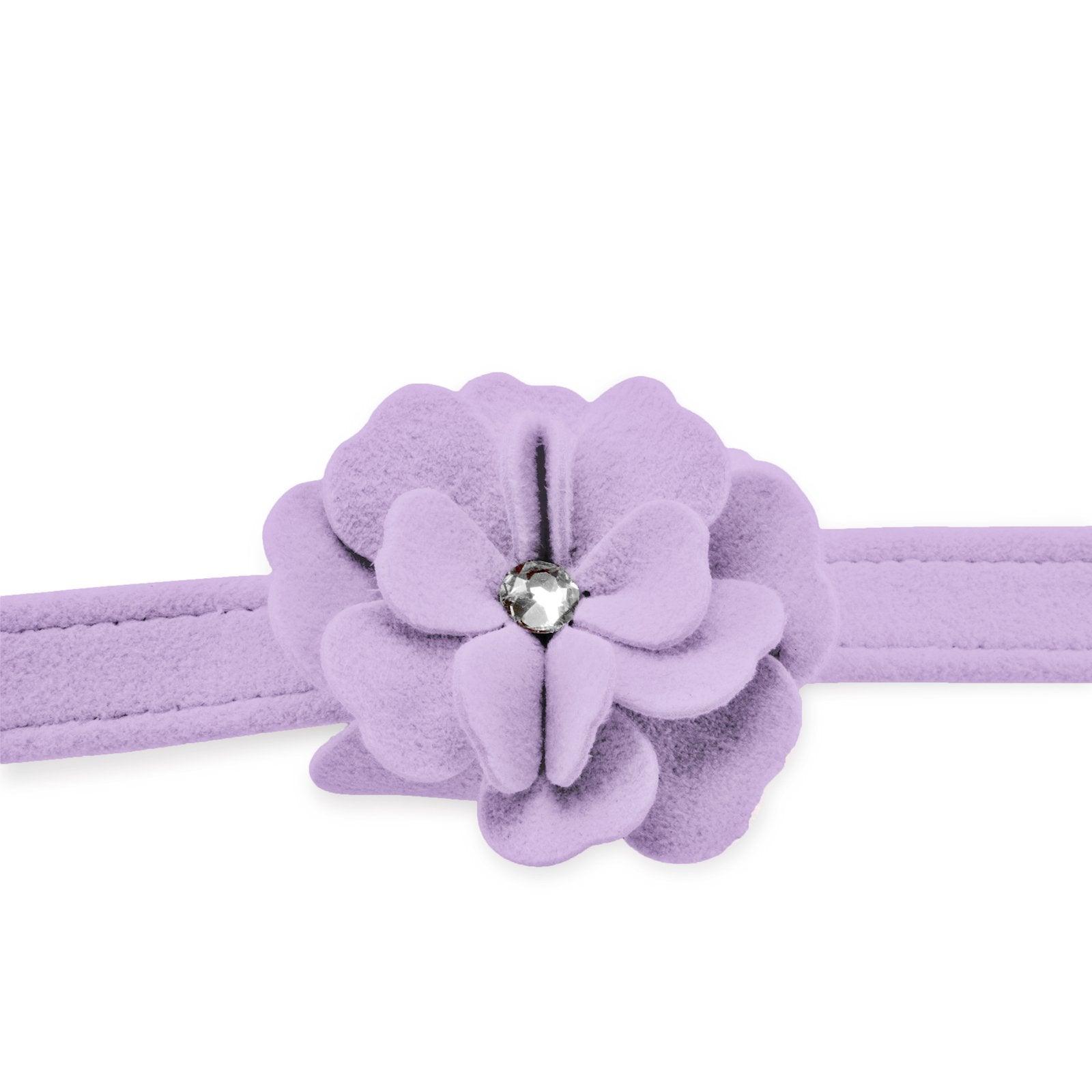 Tinkie's Garden Leash - Rocky & Maggie's Pet Boutique and Salon