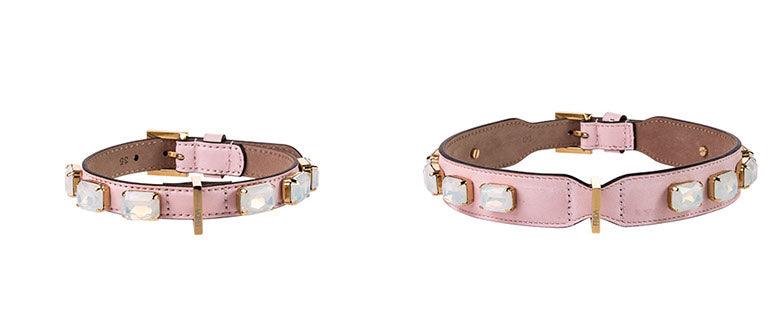 Jewel Collar from Frida Firenze - Rocky & Maggie's Pet Boutique and Salon