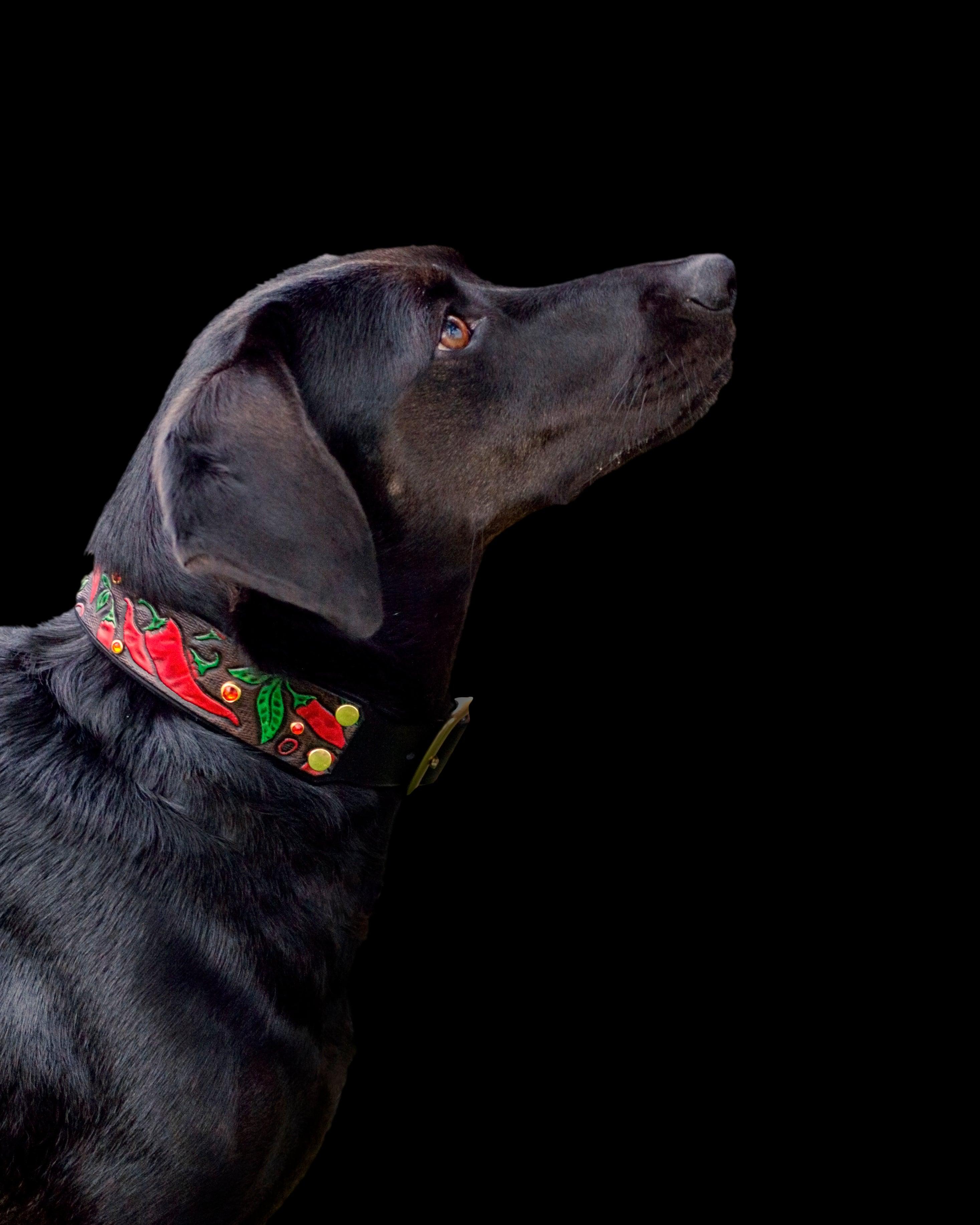 Chili Peppers Leather Collar - Rocky & Maggie's Pet Boutique and Salon