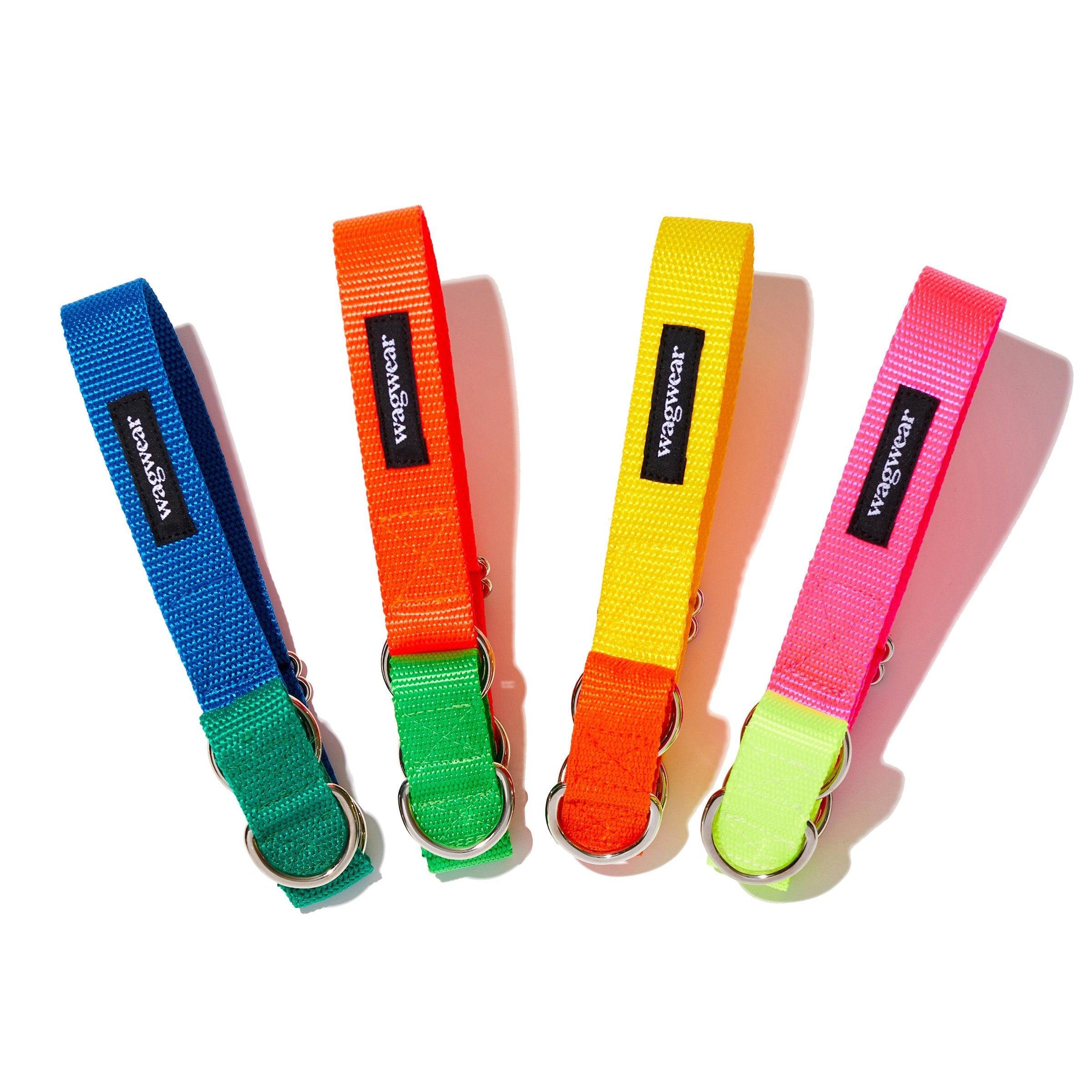 Memphis Collar - Rocky & Maggie's Pet Boutique and Salon