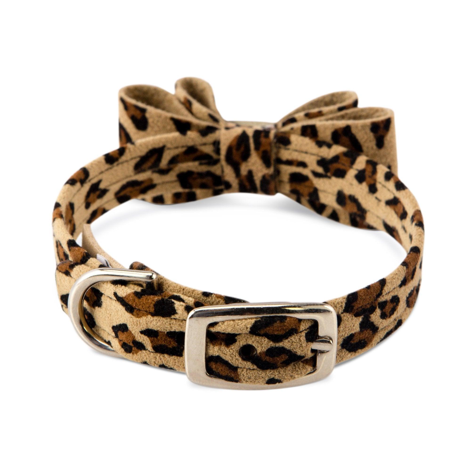 Cheetah Couture Big Bow Collar - Rocky & Maggie's Pet Boutique and Salon