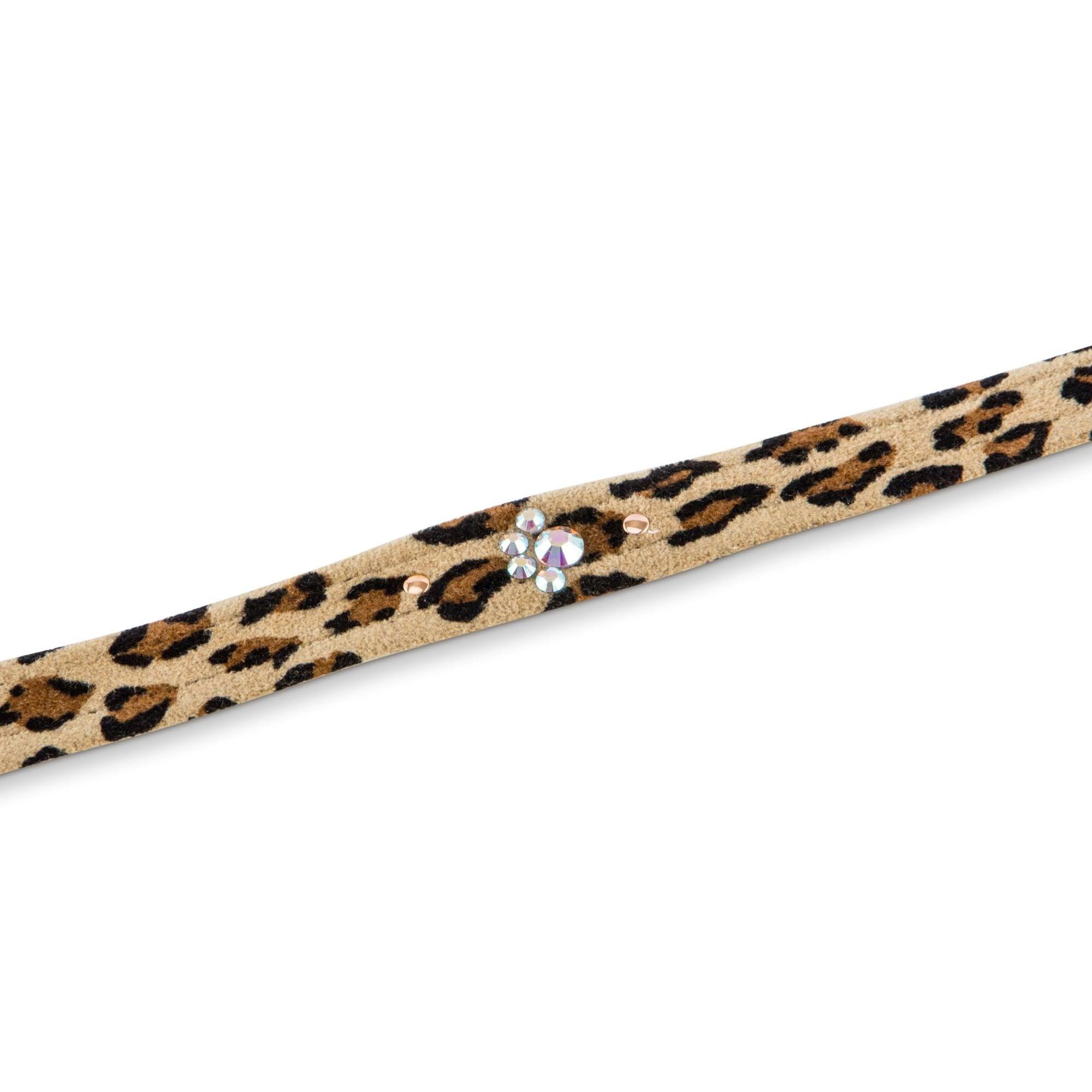Cheetah Couture Crystal Paws Leash - Rocky & Maggie's Pet Boutique and Salon