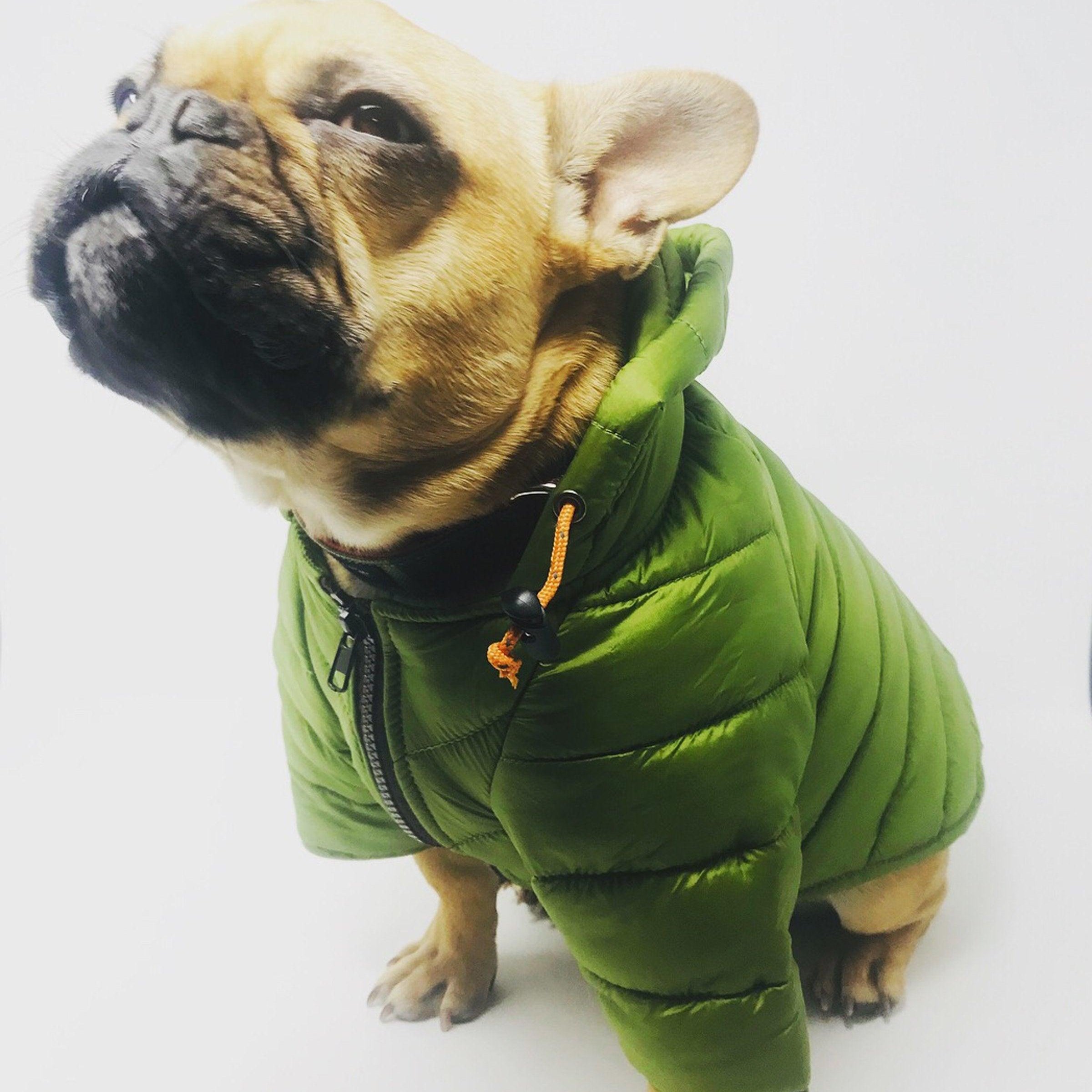 Puffer Jacket - Rocky & Maggie's Pet Boutique and Salon