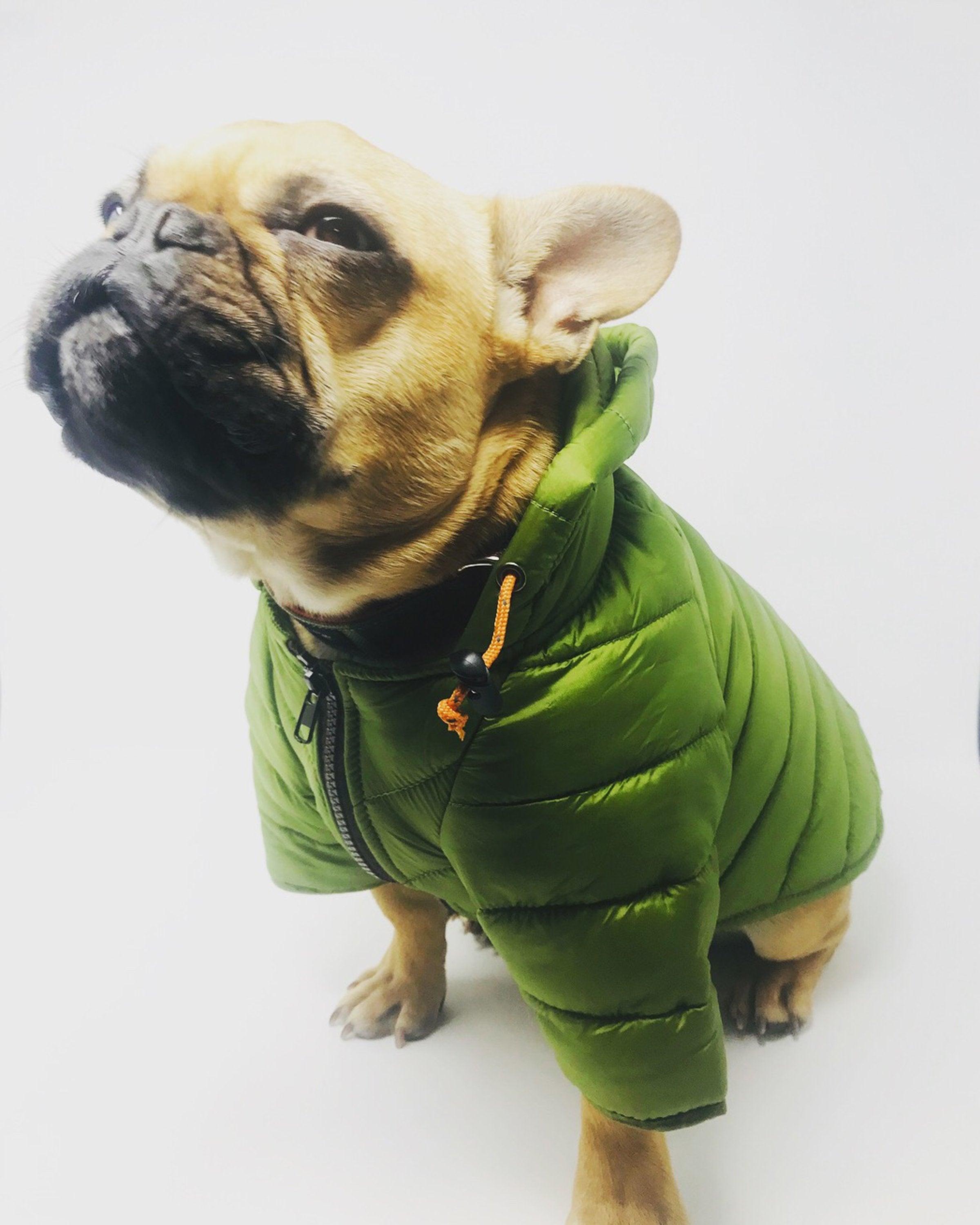 Puffer Jacket - Rocky & Maggie's Pet Boutique and Salon