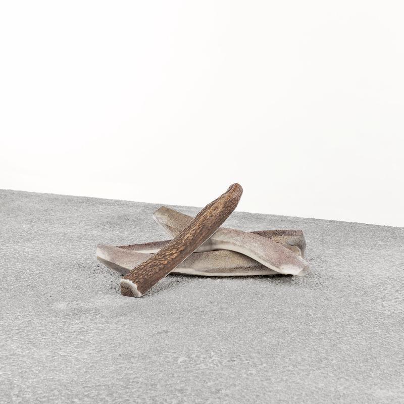 Primal Stag Antlers - Rocky & Maggie's Pet Boutique and Salon