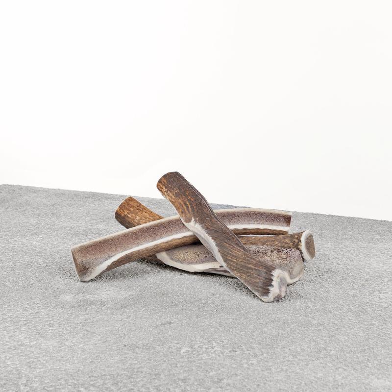 Primal Stag Antlers - Rocky & Maggie's Pet Boutique and Salon