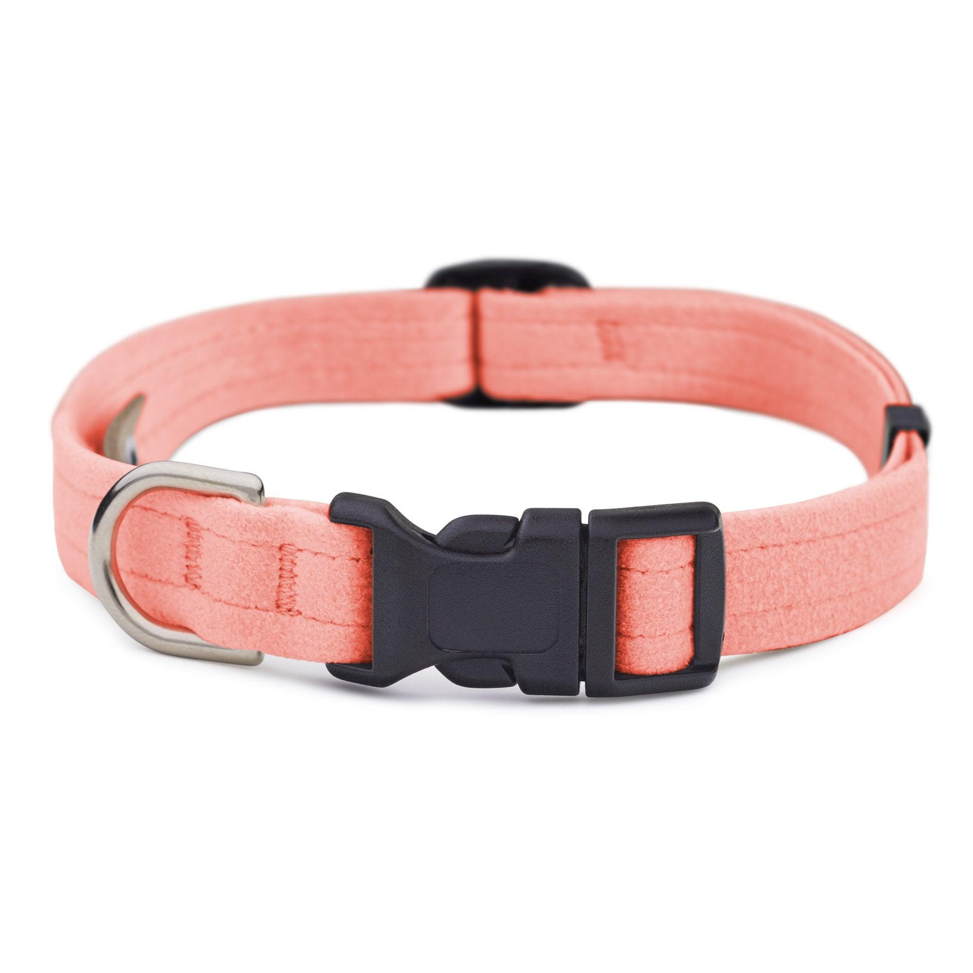Peaches N Cream Quick Release Collar - Rocky & Maggie's Pet Boutique and Salon