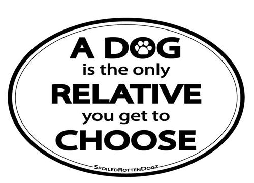 Car Magnets - Rocky & Maggie's Pet Boutique and Salon