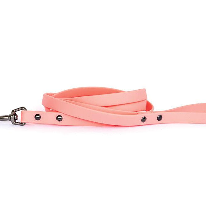 Euro Dog Waterproof Dog Collar/Lead - Rocky & Maggie's Pet Boutique and Salon