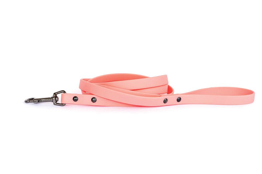 Euro Dog Waterproof Dog Collar/Lead - Rocky & Maggie's Pet Boutique and Salon