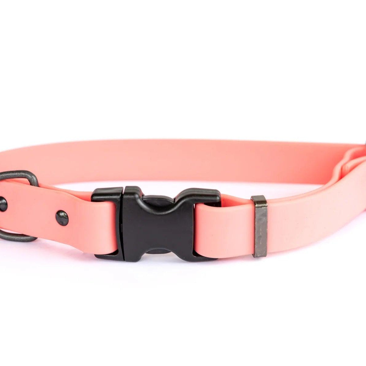 Euro Dog Waterproof Dog Collar/Lead - Rocky & Maggie's Pet Boutique and Salon