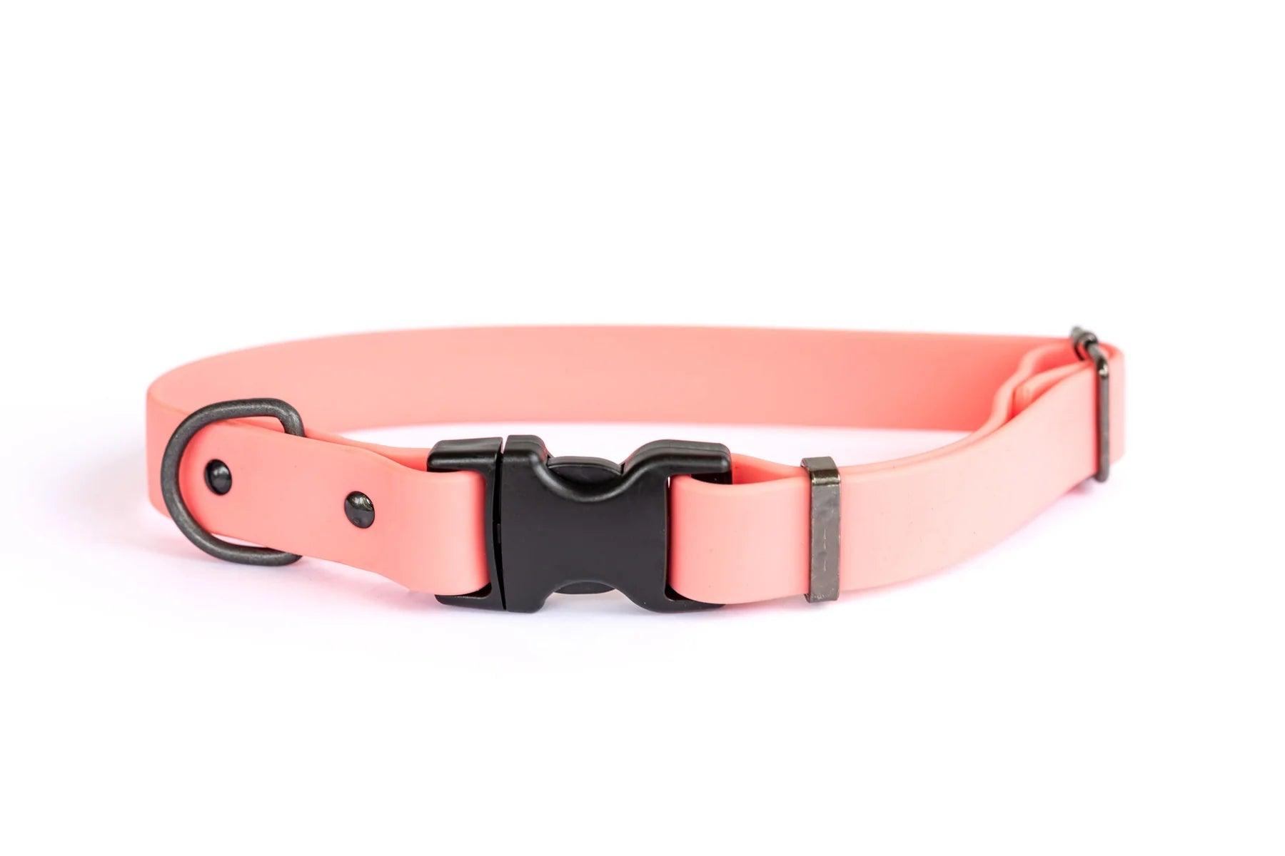 Euro Dog Waterproof Dog Collar/Lead - Rocky & Maggie's Pet Boutique and Salon
