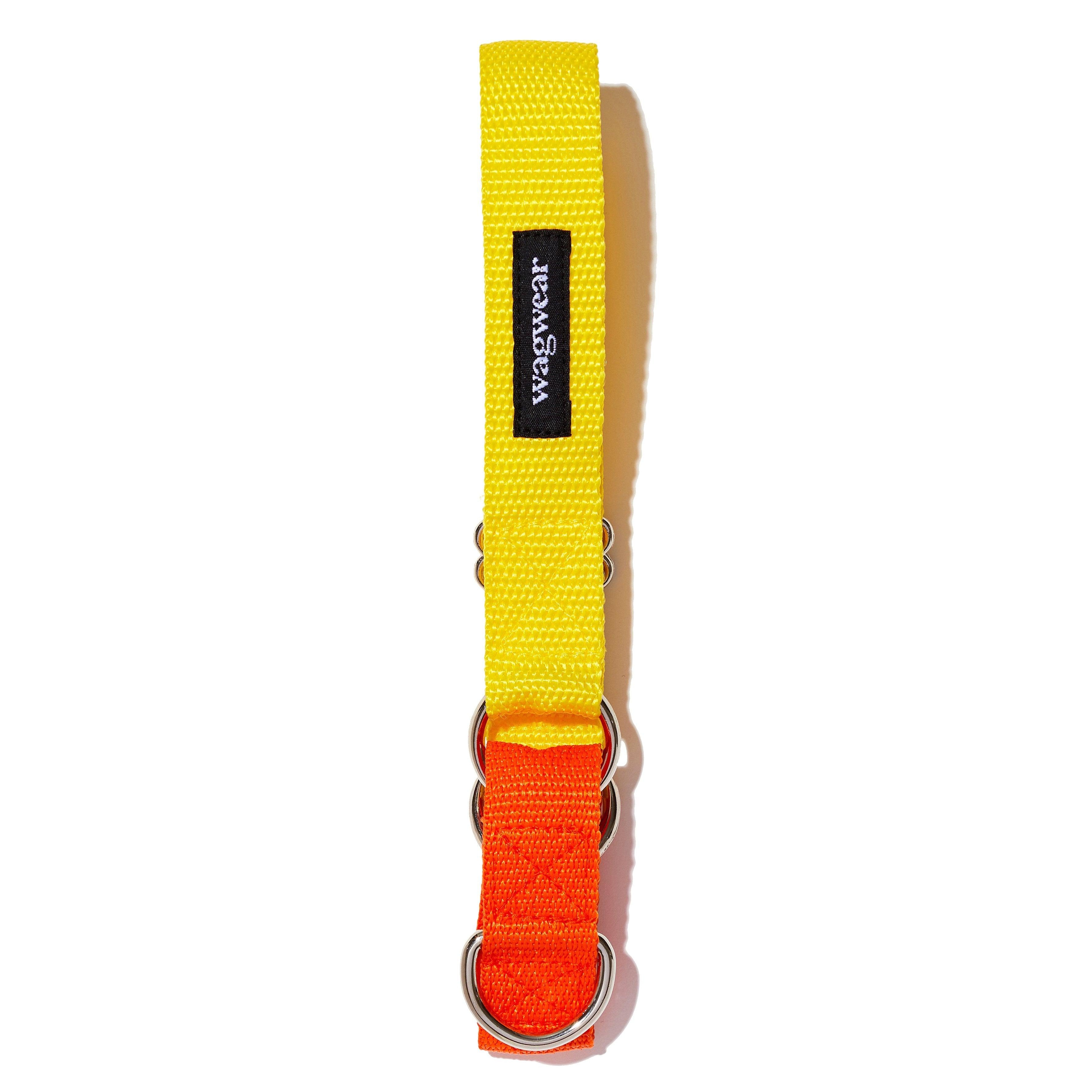 Memphis Collar - Rocky & Maggie's Pet Boutique and Salon