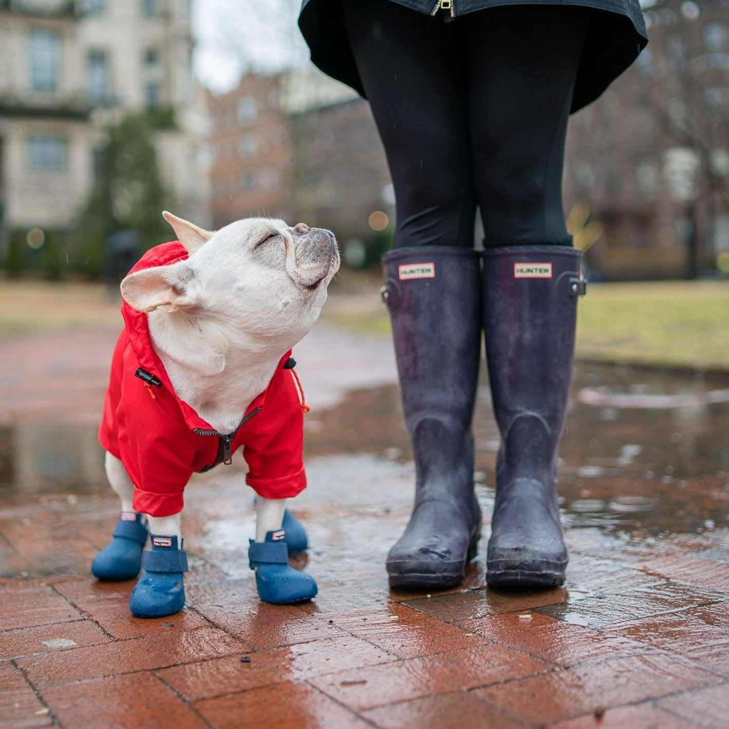 WagWellies™ by wagwear - Rocky & Maggie's Pet Boutique and Salon