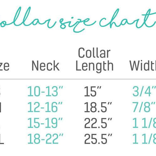 ZippyPaws Vivid Collection Designer Dog Leash - view 2