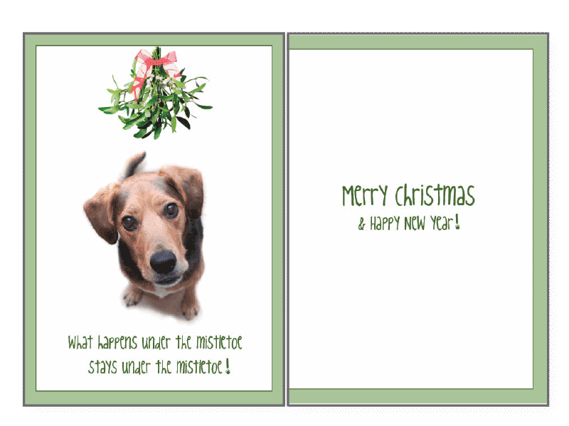 What Happens Under the Mistletoe Holiday Greeting Card - Rocky & Maggie's Pet Boutique and Salon