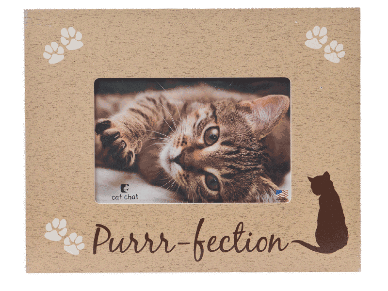 Purrfection Frame - Rocky & Maggie's Pet Boutique and Salon