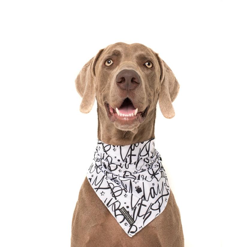Black & White Birthday Bandana - Rocky & Maggie's Pet Boutique and Salon