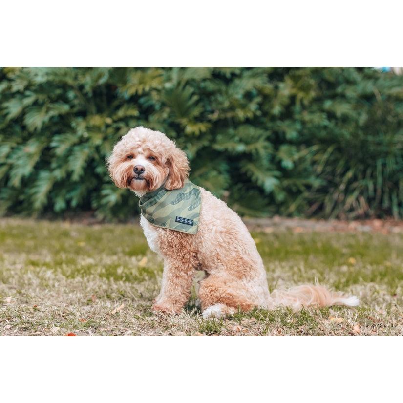 Camouflaged Bandana - Rocky & Maggie's Pet Boutique and Salon