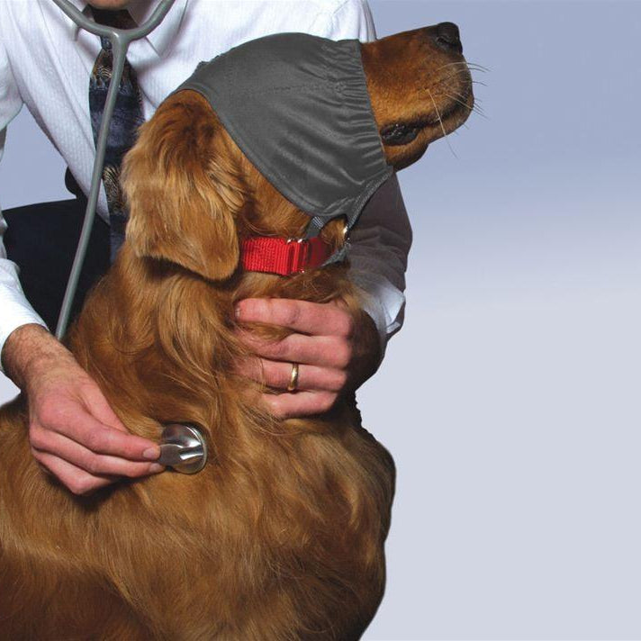 ThunderCap - Rocky & Maggie's Pet Boutique and Salon