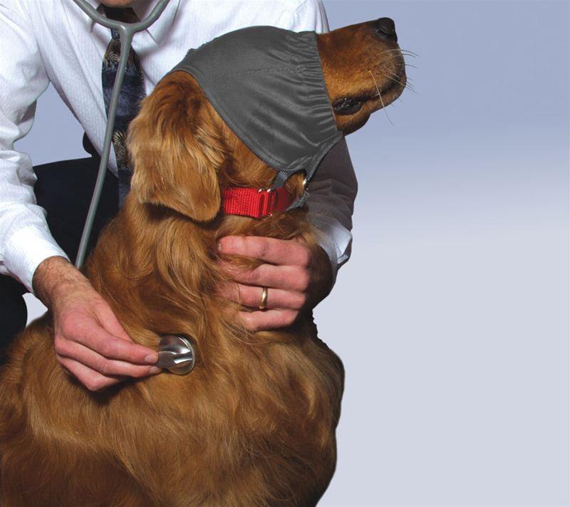 ThunderCap - Rocky & Maggie's Pet Boutique and Salon