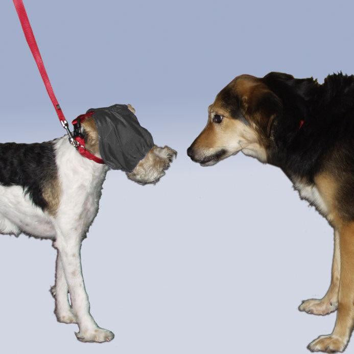 ThunderCap - Rocky & Maggie's Pet Boutique and Salon