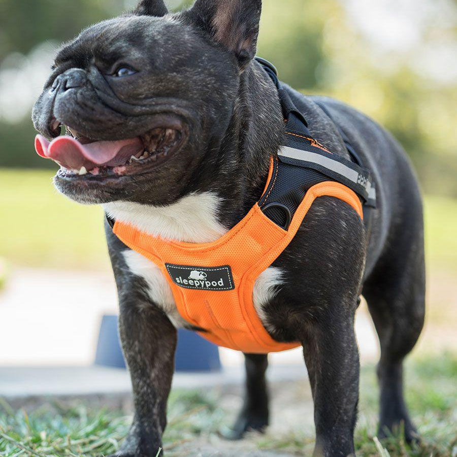 Clickit Terrain Harness (Includes harness, S-clip and Buckle Shield) - Rocky & Maggie's Pet Boutique and Salon