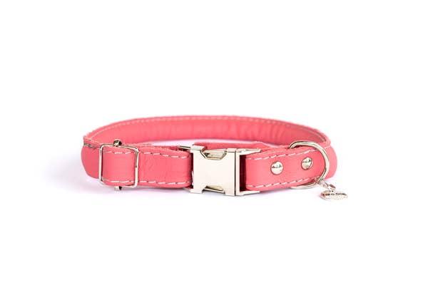 Euro Dog - Rolled Leather Collars - Rocky & Maggie's Pet Boutique and Salon
