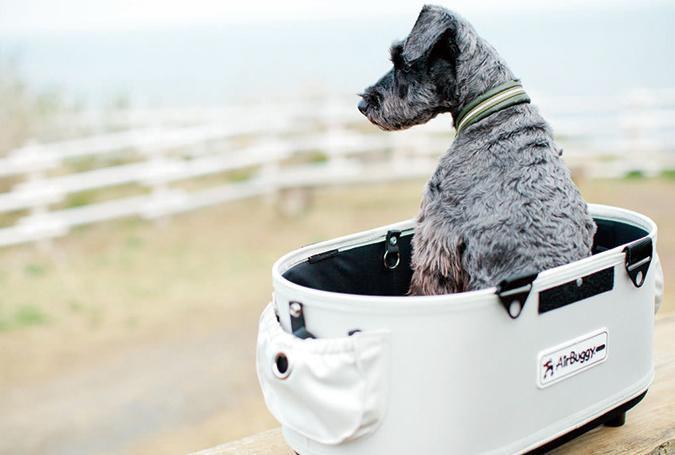 Dome 2 Brake M Set - Rocky & Maggie's Pet Boutique and Salon