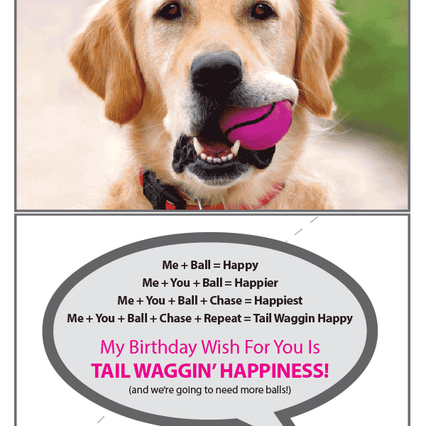 We're Going Need Birthday Card - Rocky & Maggie's Pet Boutique and Salon