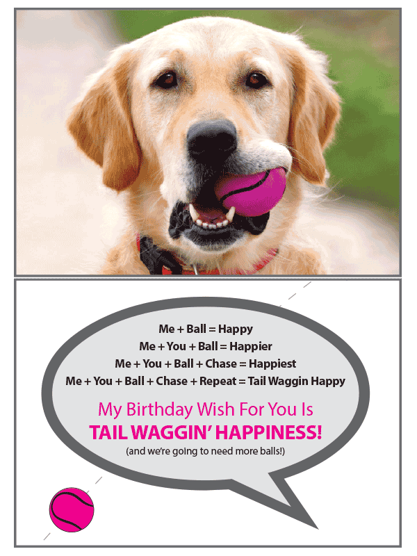 We're Going Need Birthday Card - Rocky & Maggie's Pet Boutique and Salon