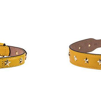 Stud Star Collar - Rocky & Maggie's Pet Boutique and Salon