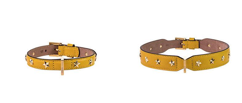 Stud Star Collar - Rocky & Maggie's Pet Boutique and Salon